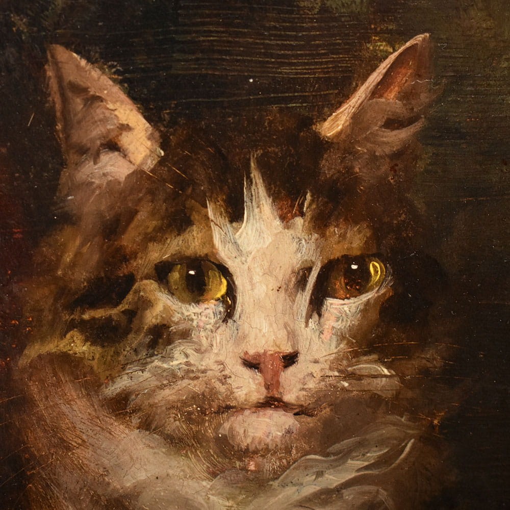 QA770 6a antique oil painting cats portraits painting XIX